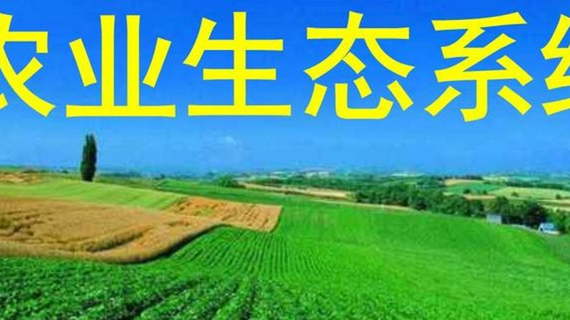 精准计算，科学种植：种植地块面积计算方法解析**