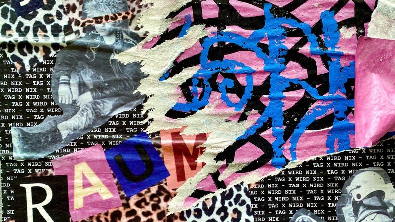 合作社分红，分的是信任还是矛盾