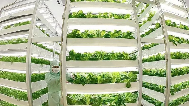传统农业靠天吃饭，现代种植靠数据说话