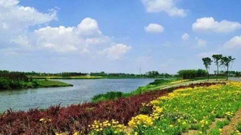 现代农业产业园建设：从规划到落地的关键步骤**