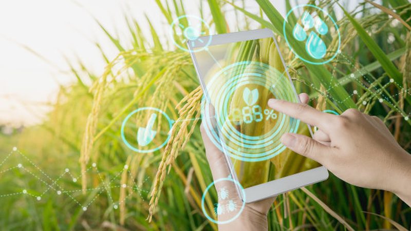 日光温室骨架结构设计：关键要素与标准解析