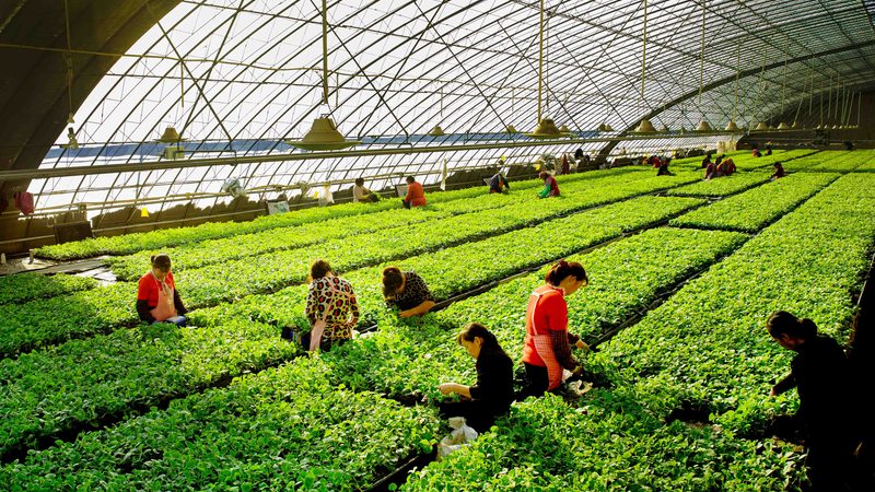 水源选择：种植地块的“生命之源”**