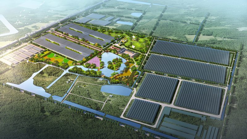 上海周边休闲农业基地，儿童体验活动新趋势