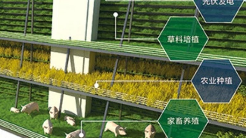 水肥一体化定制方案：为什么标准化产品总是不够用