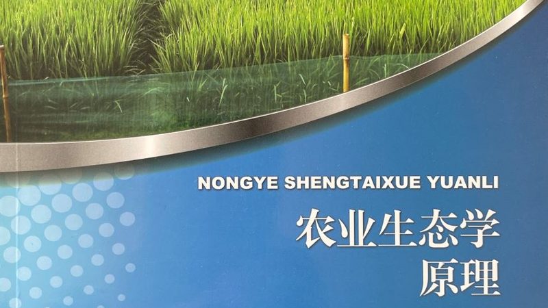小麦种肥药套餐批发：从“凑单”到“定方”的行业分水岭