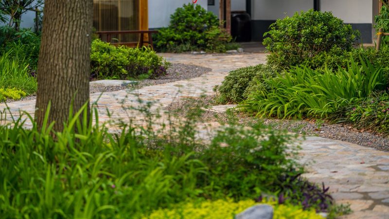 从“挂名”到“真干”：农民专业合作社办理的五个关键关卡