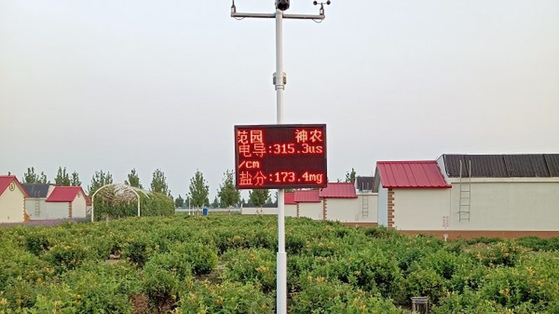 高山种水果，品种选错三年白干