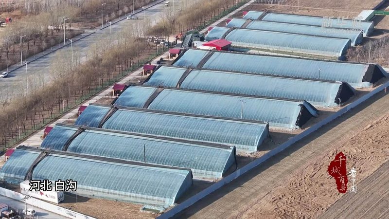 食堂有机蔬菜配送，不止是换一家供应商那么简单