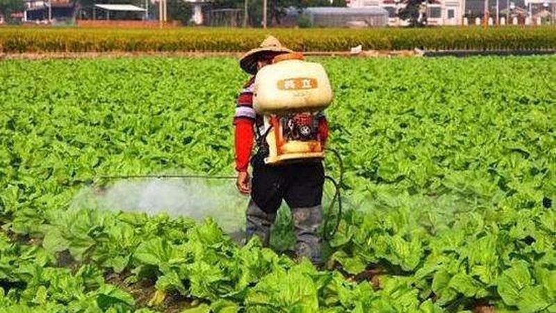 农业物联网大田种植解决方案：优与缺